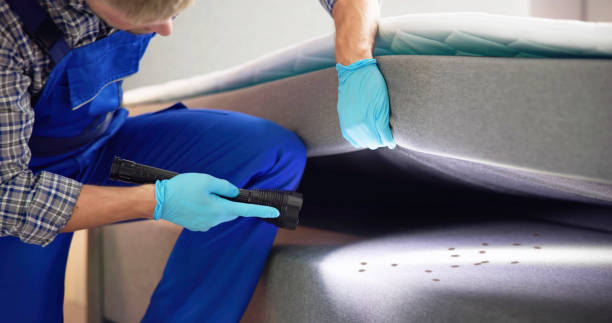 Best Pest Prevention Services  in Innsbrook, VA