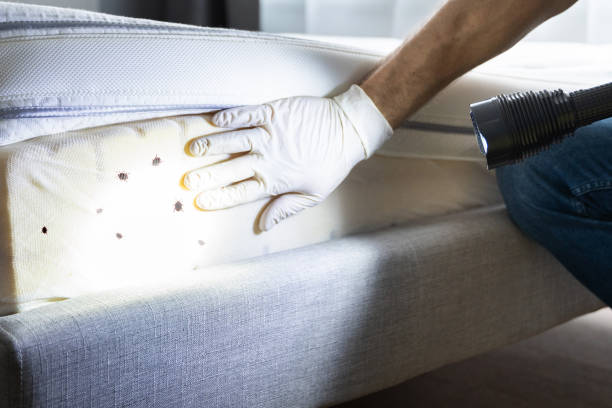Best Rat Extermination Near Me  in Innsbrook, VA