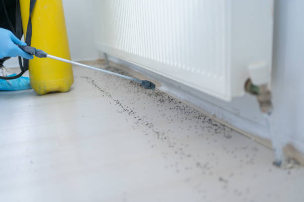 Best Pest Control for Homes  in Innsbrook, VA