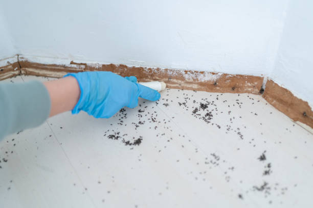 Best Wildlife Control Services  in Innsbrook, VA